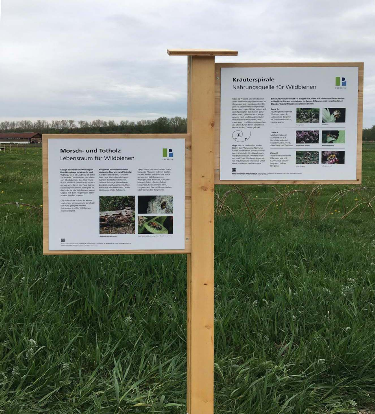 Informationstafeln im Wildbienengarten